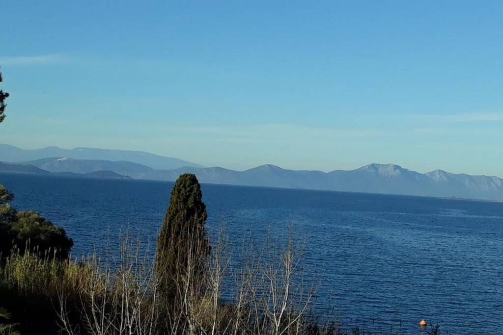 נאוס פירגוס Amazing Sea View-Neos Pyrgos Beach -Evoia Greece מראה חיצוני תמונה