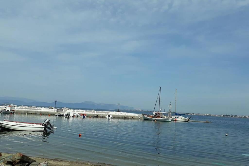 נאוס פירגוס Amazing Sea View-Neos Pyrgos Beach -Evoia Greece מראה חיצוני תמונה