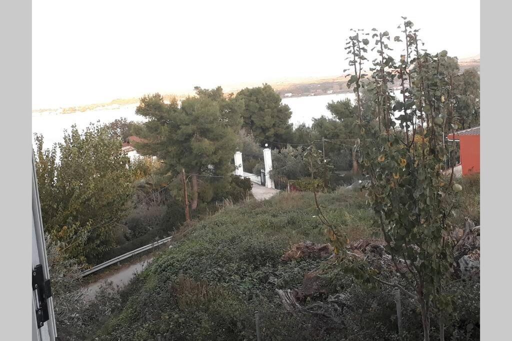 נאוס פירגוס Amazing Sea View-Neos Pyrgos Beach -Evoia Greece מראה חיצוני תמונה