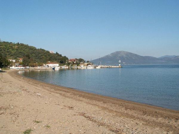 נאוס פירגוס Amazing Sea View-Neos Pyrgos Beach -Evoia Greece מראה חיצוני תמונה
